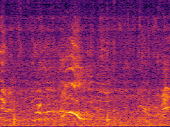 Spectrogram