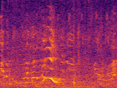 Spectrogram