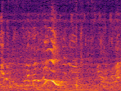 Spectrogram