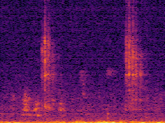 Spectrogram