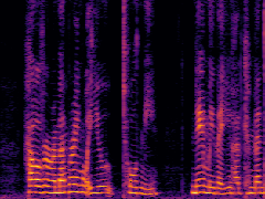 Spectrogram