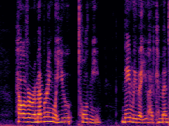 Spectrogram