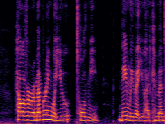 Spectrogram