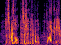 Spectrogram